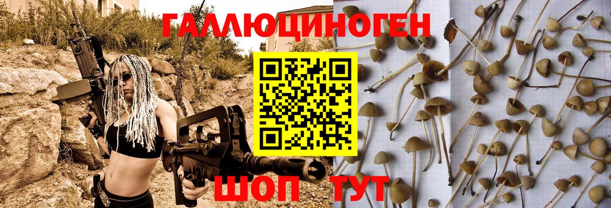 Галлюциногенные грибы мухоморы Михайловка