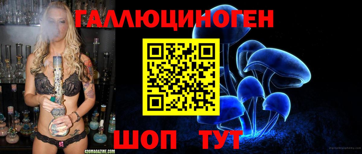 Михайловка  купить  сайты  Вход с VPN  Галлюциногенные грибы ЛСД 